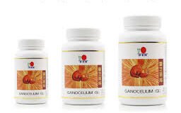 Ganocelium (GL)